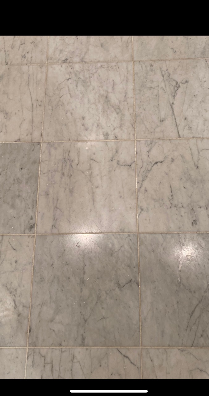 NOVA_Stone_Care_White_Marble_Floor_Restoration_5